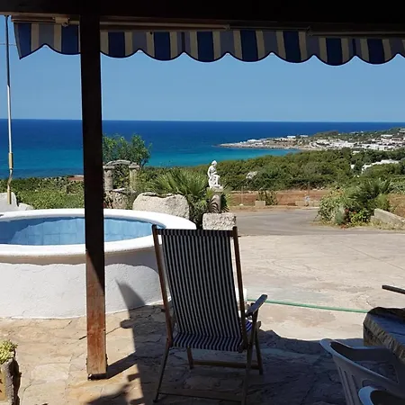 Felloniche On Seashore *